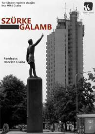 Mikó Csaba: Szürke galamb