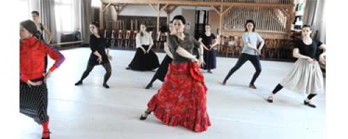 A zenei test − bevezetés a flamencóba